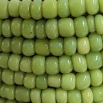 Verde chiaro