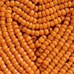 Arancione